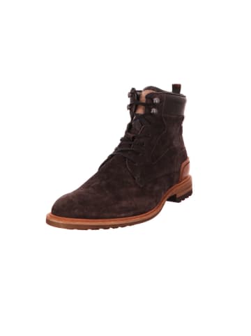Floris van Bommel Boots in braun