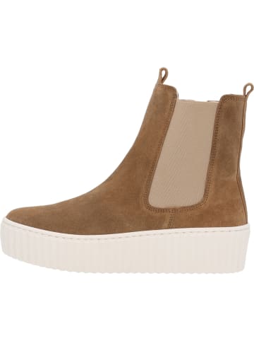 Gabor Ankle Boots in lion (creme)