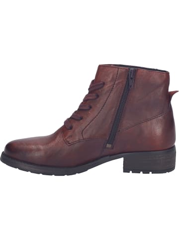 Josef Seibel Stiefelette Kate 17 in rot