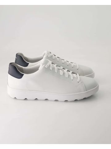 Geox Klassische Schnürschuhe in Weiß