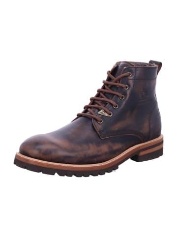 PANAMA JACK Herren- Winterschuhe warm Emery Igloo C8 in Braun