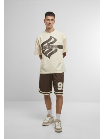 Rocawear T-Shirt "T-Shirts Pro" in Grau
