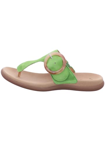 Gabor Klassische Pantolette in grün