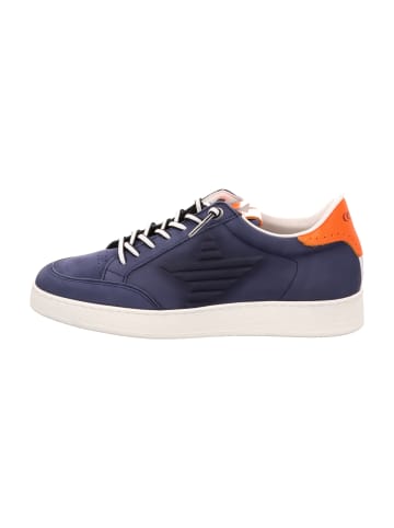 Cetti Sneaker Low in Blau