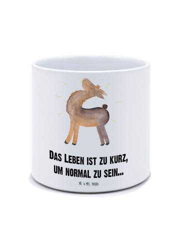 Mr. & Mrs. Panda Übertopf Lama Stolz mit Spruch in Weiß