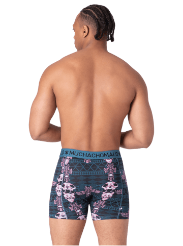 Muchachomalo 4er-Set: Boxershort in Mehrfarbig - für Herren