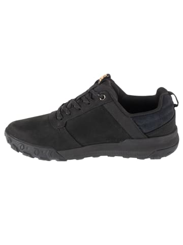 Caterpillar Caterpillar Hex Ready Lo in Schwarz