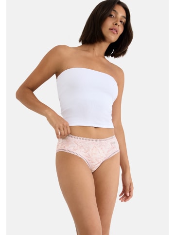 Sloggi Hipster GO Crush in Rosa / blau