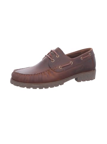 PANAMA JACK Schnürschuh in braun