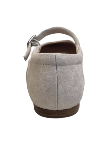 Apple of Eden Ballerinas in Grau