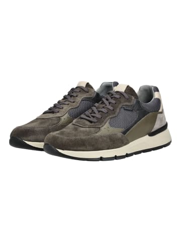 Nero Giardini Sneaker Olive