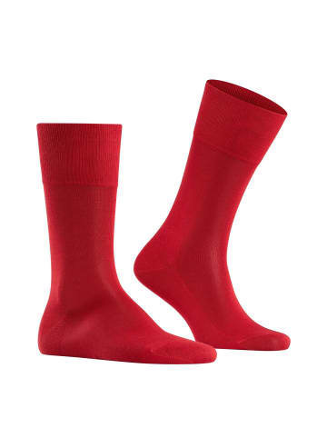 Falke Socken 1er Pack in Rot