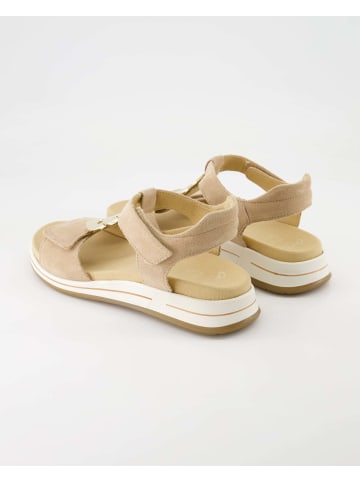 Ara Shoes Sandalen in Beige
