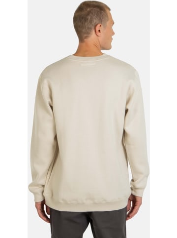 Reell Pullover "Staple Logo Crewneck" in Weiß