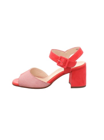 PETER KAISER Pumps in pink