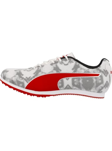 Puma Laufschuh "evoSPEED Star 8" in Schwarz
