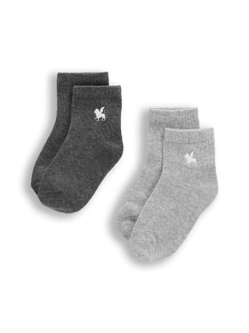 Coccodrillo Socken in bunt