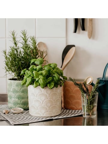 Butlers Blumentopf BLOOMY II in Creme