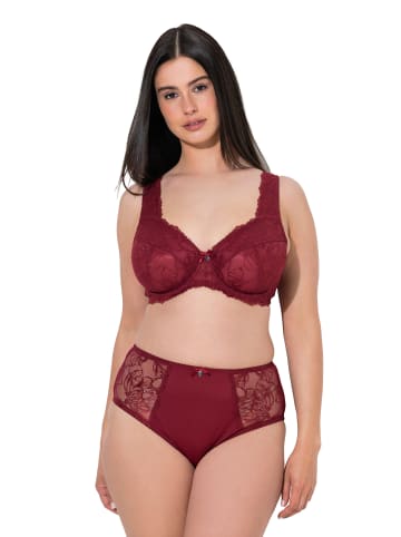 Ulla Popken BH in purpurrot