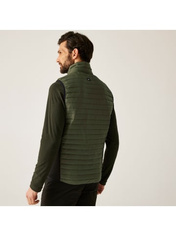 Regatta Andreson Bodywarmer in Oliv