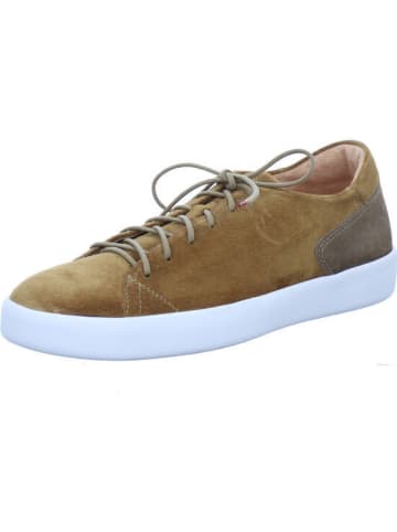 Think! Sneaker Low in braun