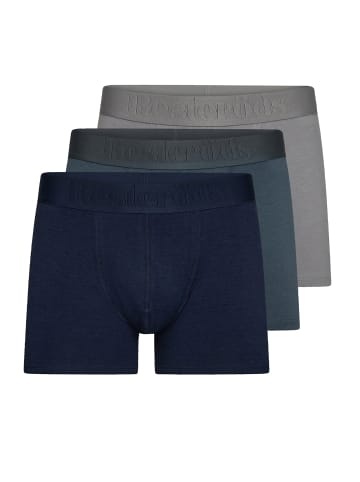 Resteröds Retro Short / Pant Gunnar in Mehrfarbig