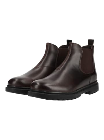 Geox Stiefelette ANDALO A - VIT.INGR. Coffee
