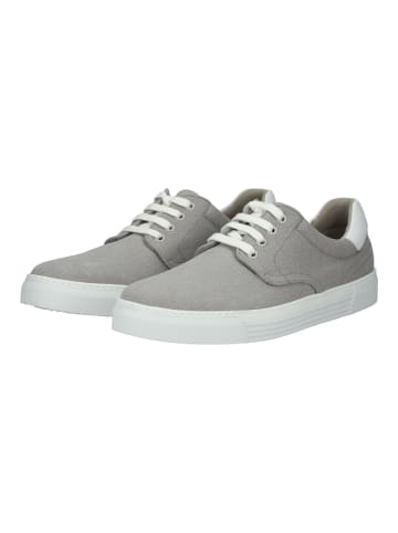 Pius Gabor Sneaker Grau/Weiß