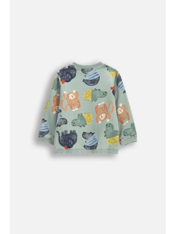 Coccodrillo Sweatshirt in khaki