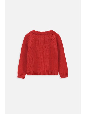 Coccodrillo Pullover in rot