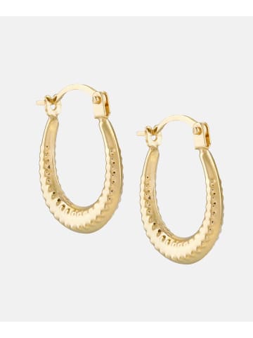 Vanlere Creolen aus 375 Gelbgold