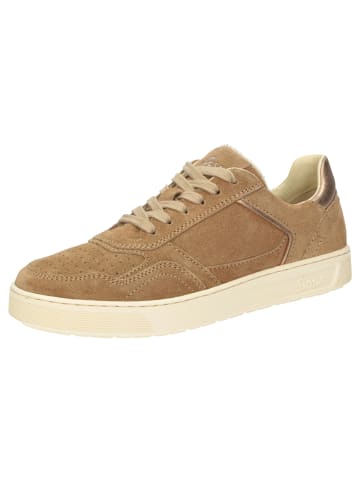 Sioux Sneaker Maites sneaker 004 in hellbraun