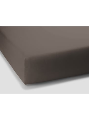 Formesse Spannbettlaken Bella Gracia in Trüffel