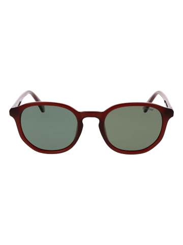 Polaroid Unisex Sonnenbrille Panto Braun