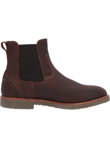 PANAMA JACK Chelsea Boots in Castano/Chestnut