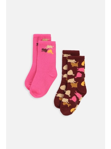 Coccodrillo Socken in bunt