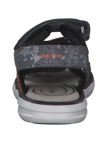 Geox Sandalen in Grau