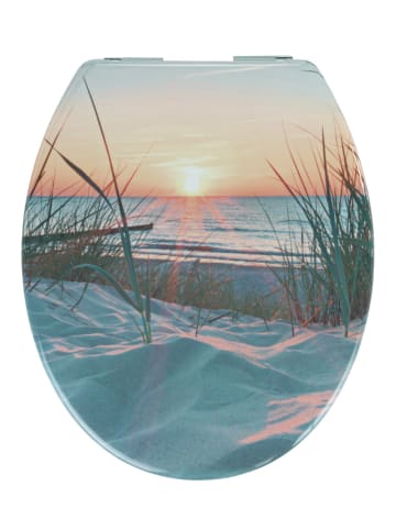 Wenko WC-Sitz Duroplast Mod. Sunset, WC-Sitz Duroplast Sunset in Mehrfarbig >3 Farben