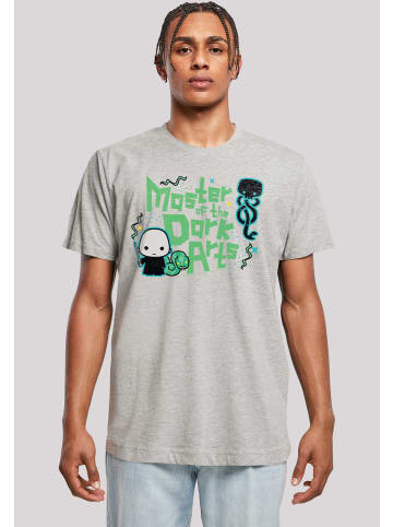 F4NT4STIC F4NT4STIC T-Shirt in heather grey