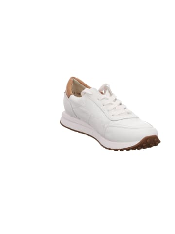 Paul Green Lowtop-Sneaker in white/simba