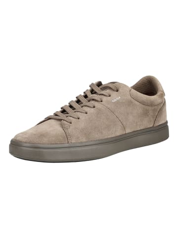 Geox Sneaker BALTMOORE BALTMOORE in Taupe