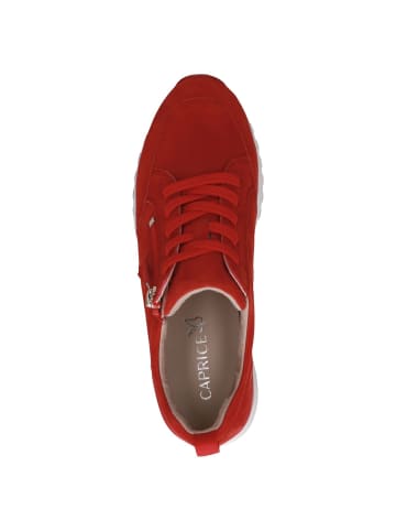 Caprice Sneaker in RED SUEDE