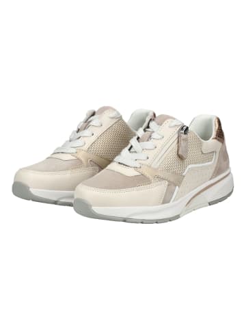Gabor Sneaker in Ivory