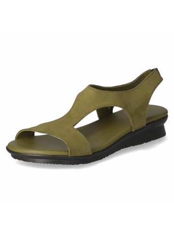 Arche Sandalette in grün