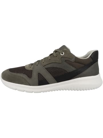 Geox Sneaker low U Monreale B in gruen