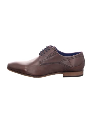 Bugatti Business Schnürschuhe in Braun