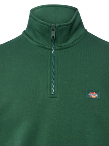 Dickies Pullover Oakport in tanne