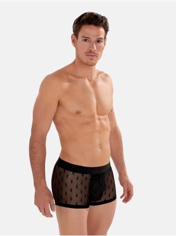 HOM Trunk Dark in Black