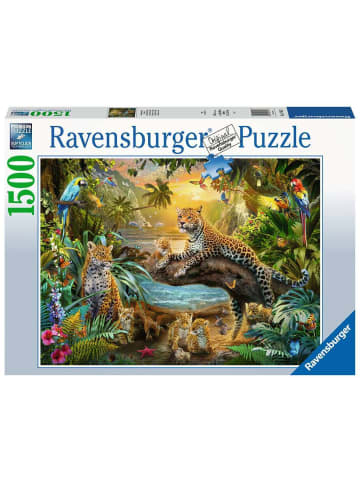 Ravensburger Puzzle 1.500 Teile Leopardenfamilie im Dschungel Ab 14 Jahre in bunt