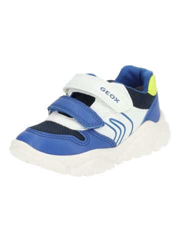 Geox Sneaker in Weiß/Blau